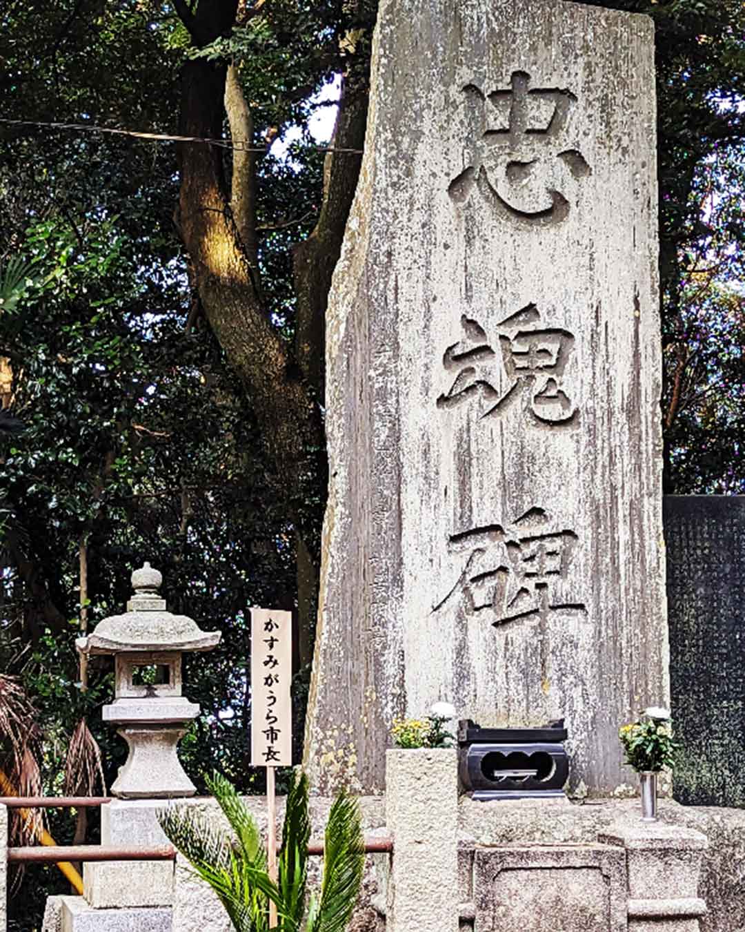 写真:慰霊のため、忠魂碑を宮嶋謙かすみがうら市長とともに参拝しました。の写真