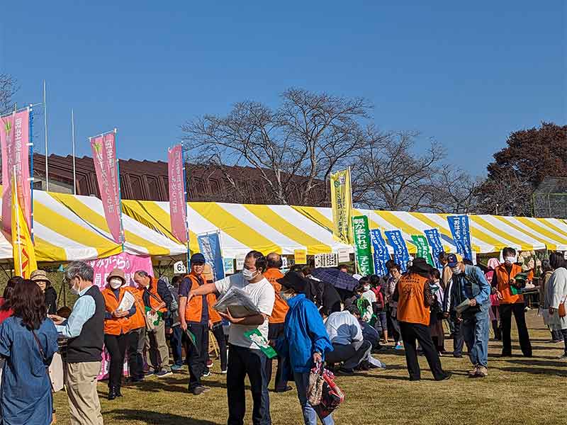 写真：4年ぶりにかすみがうら祭りが開催されました。の画像