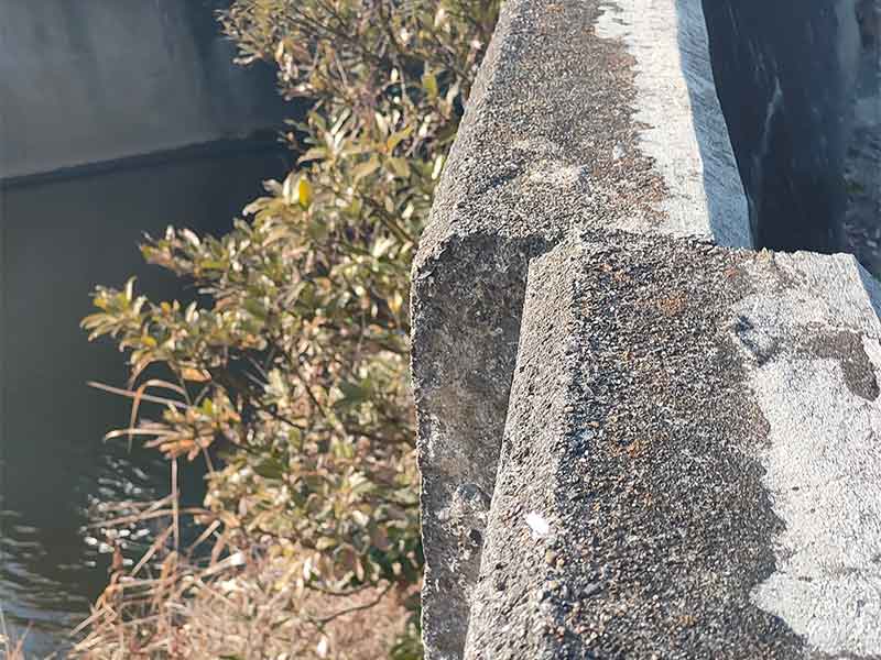 写真：一ノ瀬川にある有河橋東河川の擁壁ヒビ割れの状況です。の画像