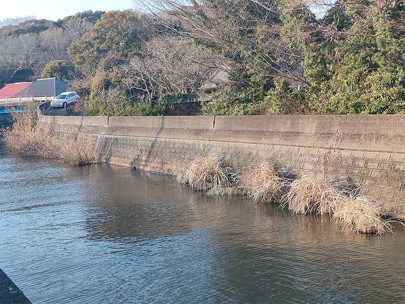写真：一ノ瀬川にある有河橋東河川の擁壁ヒビ割れの状況です。の画像