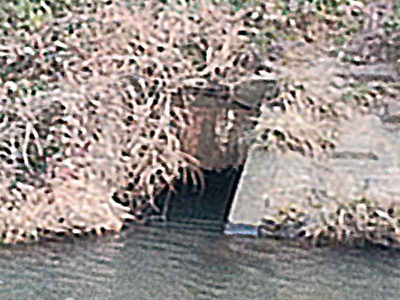 写真:河川へ接続する排水路に逆流防止鉄板が取り作られています。の写真