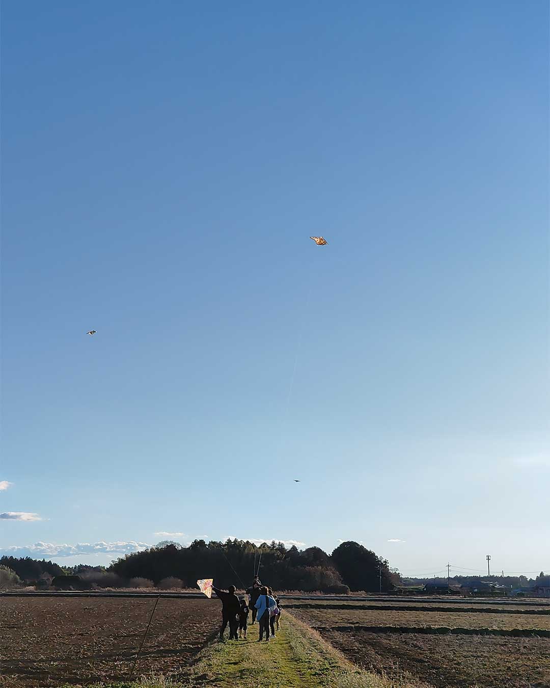 写真：正月の餅つき大会と凧揚げ大会の様子です。の写真