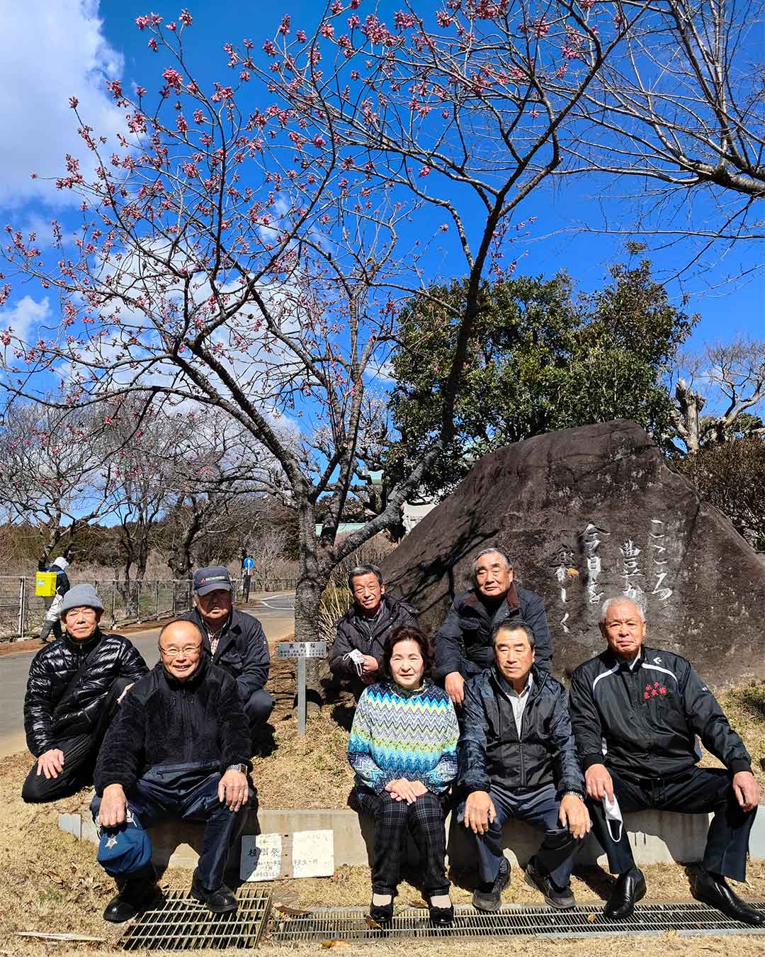 写真：寒緋桜がもうすぐ開花します。旧宍倉小学校の築山に平成7年に植樹しました。の画像