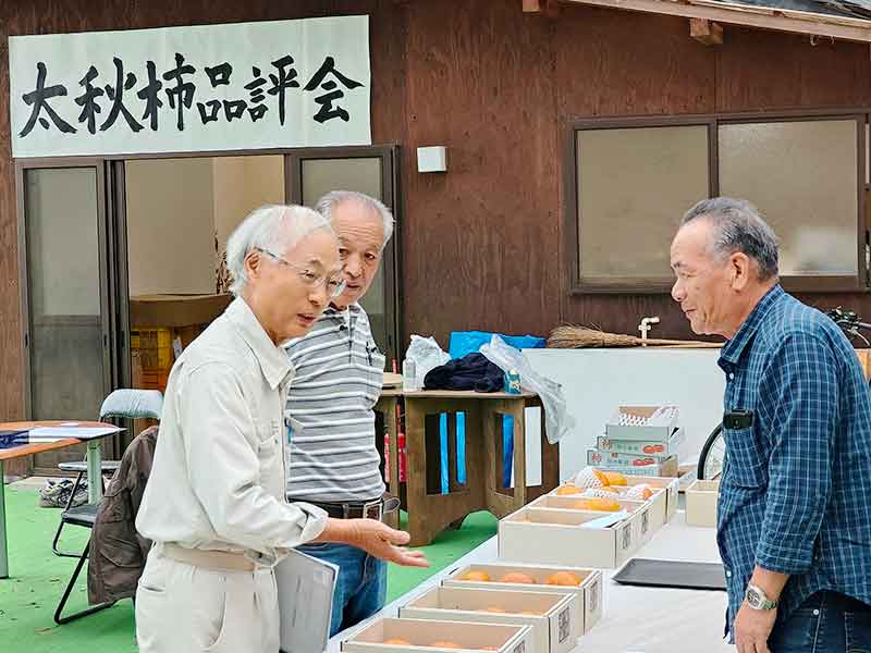 写真：太秋柿品評会審査の写真