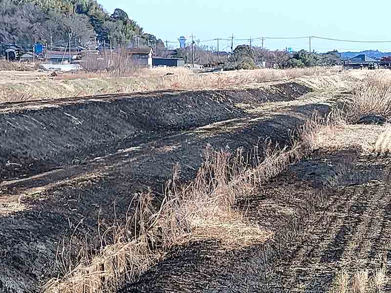 写真:柏崎の権現橋西の菱木川両岸火災の写真