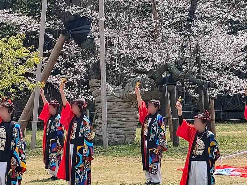 写真:下大津のさくら祭り、踊るなかよしのヨサコイソーランの踊りの写真