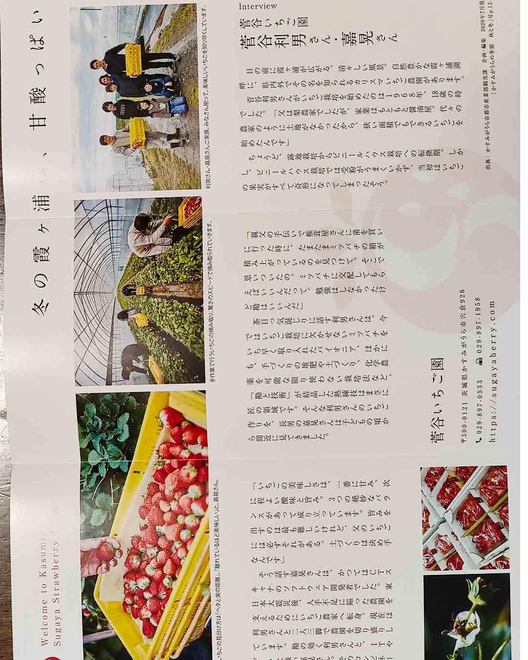 写真:オーガニックフェスタ2016菅谷いちご園最優秀賞の写真