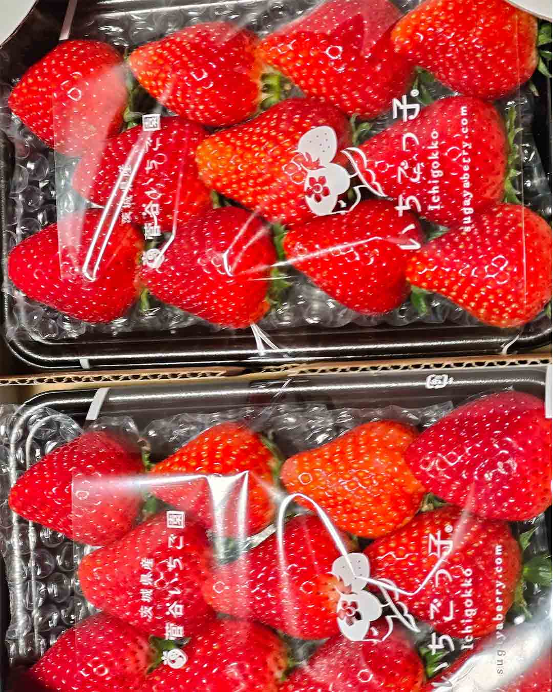 写真:オーガニックフェスタ2016菅谷いちご園最優秀賞の写真
