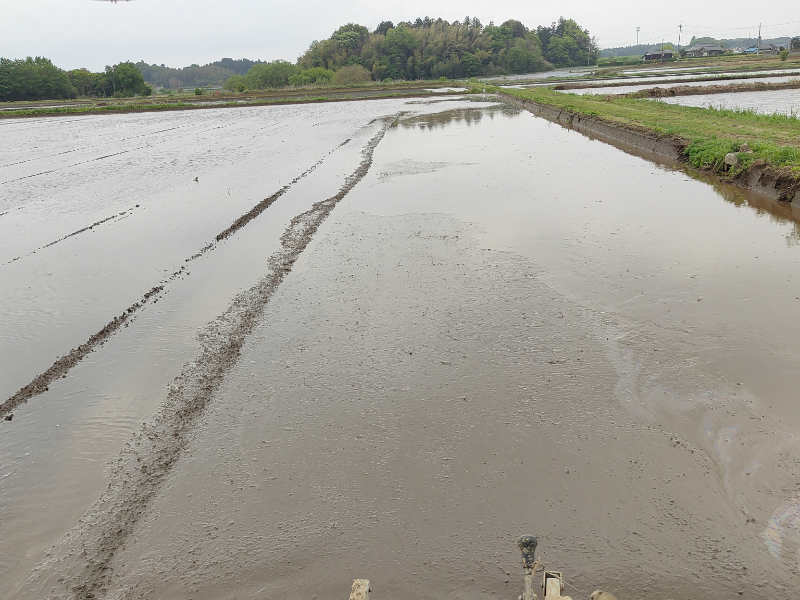 写真:4月30日陸田の代掻き水田