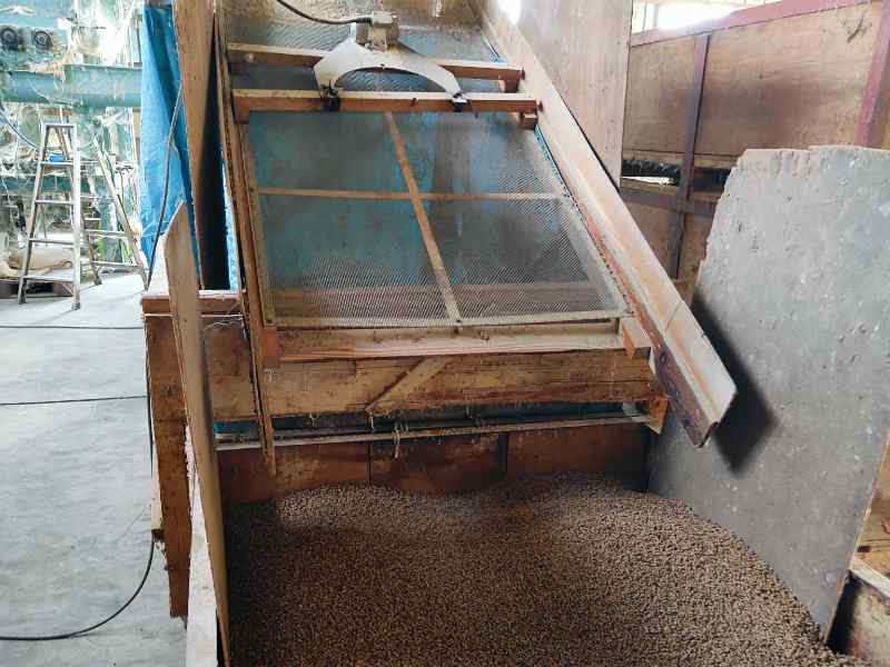 写真:牛渡船溜り沖の桜井養魚場網生け簀と鯉の餌ベレット工場