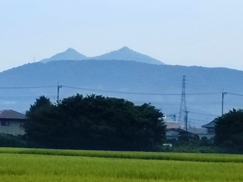 写真:30日朝の筑波山と稲穂が出揃ったEM水田、高倉粟田橋から見る筑波山