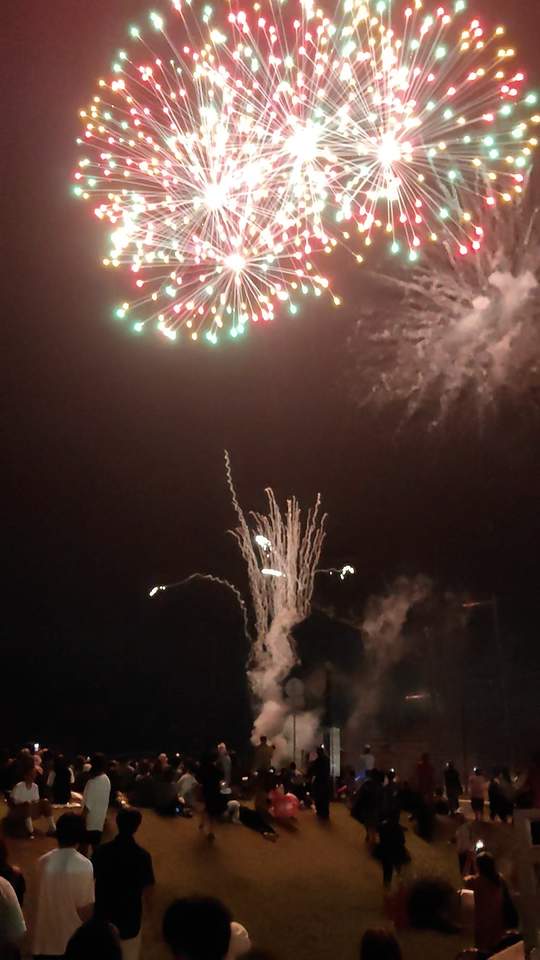 写真:霞ヶ浦あゆみ祭り 花火フィナーレ