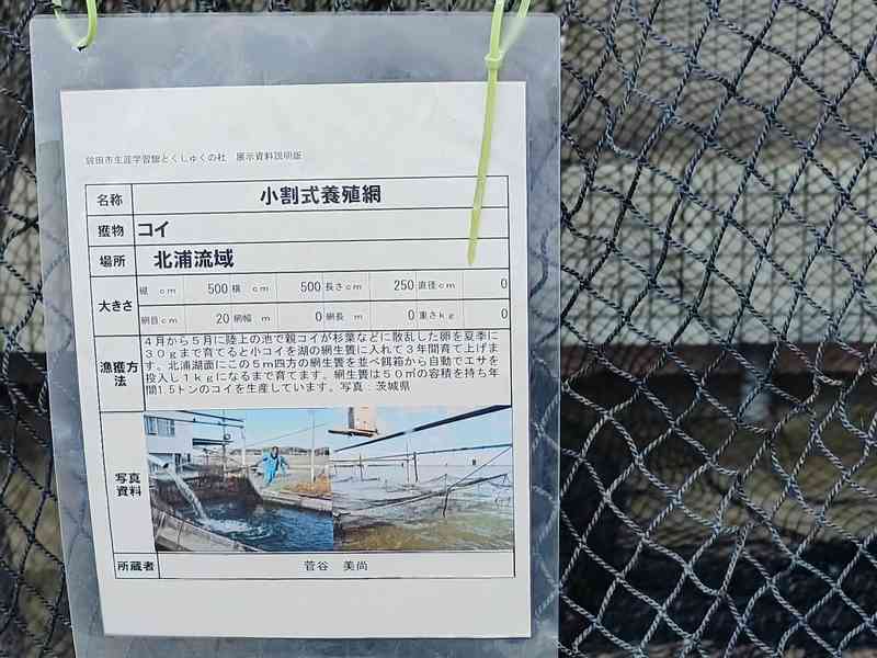 写真:鉾田市生涯学習館とくしゅくの杜・スポーツクライミングセンター