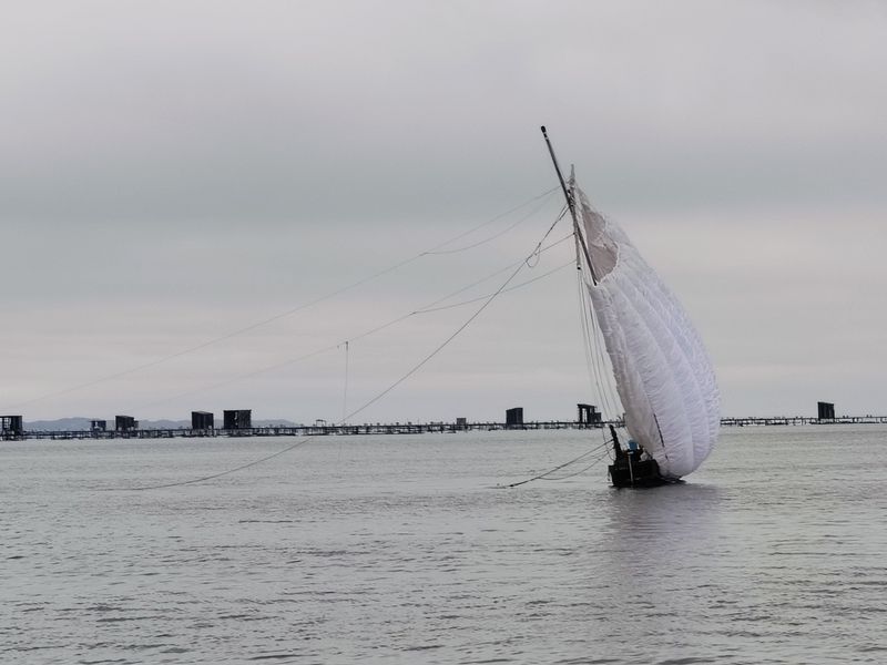 写真:30日霞ヶ浦観光帆引き船、風速2m風なし半帆帆走、観光船は満席