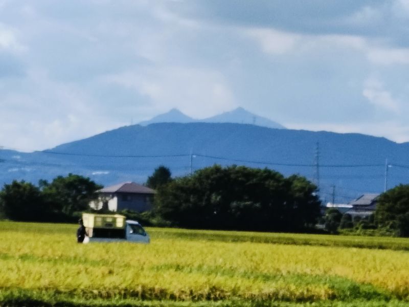 写真:紫峰筑波山と稲刈りの物語
